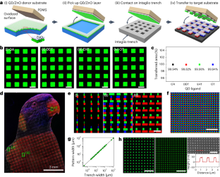 Highly efficient printed quantum dot light-emitting diodes through ultrahigh-definition double-layer transfer printing