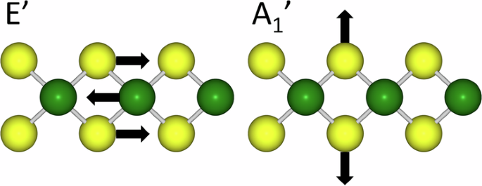 Machine-learned interatomic potentials for transition metal dichalcogenide Mo1−xWxS2−2ySe2y alloys