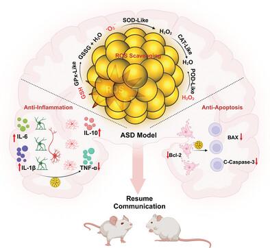 Calcium Hexacyanoferrate (III) Nanocatalyst Enables Redox Homeostasis for Autism Spectrum Disorder Treatment