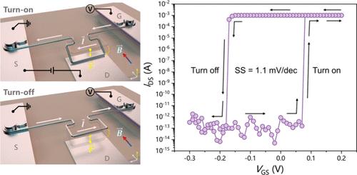 Lorentz Force-Actuated Bidirectional Nanoelectromechanical Switch with an Ultralow Operation Voltage.