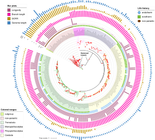 Drivers of interlineage variability in mitogenomic evolutionary rates in Platyhelminthes