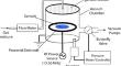 Combination of 3D Printing, Plasma Polymerization, and Bioactive Coatings Towards Fabrication of Eggshell Biowaste/Polycaprolactone Composite Scaffolds for Bone Regeneration