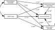 Preoccupation with sleep and dysfunctional beliefs about sleep mediate the influence of psychological inflexibility on insomnia in the older adult population