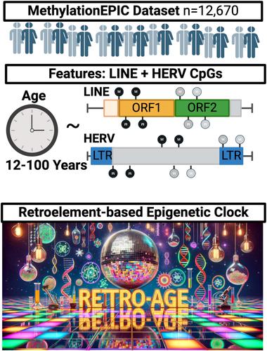 Retro-age: A unique epigenetic biomarker of aging captured by DNA methylation states of retroelements