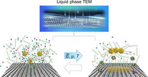 Nanoscale materials transformations revealed by liquid phase TEM