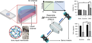 Ionic liquid-based transparent membrane-coupled human lung epithelium-on-a-chip demonstrating PM0.5 pollution effect under breathing mechanostress