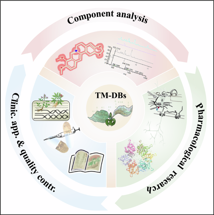 Overview and limitations of database in global traditional medicines: A narrative review.