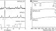 Chitosan-coated manganese ferrite nanoparticles enhanced Rhodotorula toruloides carotenoid production.