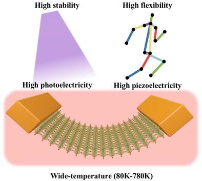 High-stability two-dimensional perovskite LaNb2O7 for high-performance wide-temperature (80–780 K) UV light detection and human motion detection