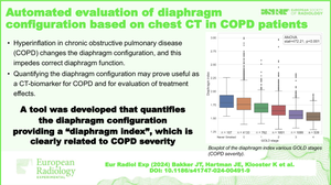 Automated evaluation of diaphragm configuration based on chest CT in COPD patients.