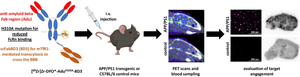 Investigation of the Impact of the H310A FcRn Region Mutation on <sup>89</sup>Zr-Immuno-PET Brain Imaging with a BBB-Shuttle Anti‑Amyloid Beta Antibody.