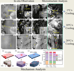 In-Situ Observation of the Multi-phase Transition and Microstructure Evolution of 22MnB5 Steel