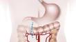 Surgical options in retrosternal oesophageal reconstruction