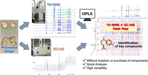 Development of a determination method for quality control markers utilizing metabolic profiling and its application on processed Zingiber officinale Roscoe rhizome