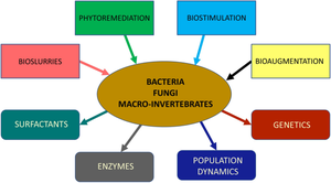 Bioremediation of Polyaromatic Hydrocarbons in Soils: A Review of Recent Progress