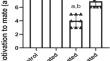 Sexual dysfunction in dichlorvos-exposed male Wistar rat is ameliorated by curcumin and associated with the upregulation of testosterone