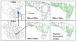 Optimizing Soil Sampling for Accurately Prediction of the Potential Remediation-Effective Area in a Contaminated Agricultural Land