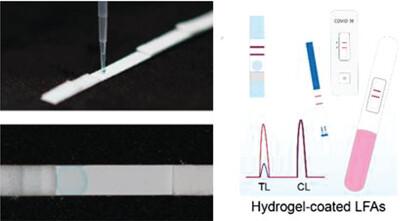 From Pregnancy to Pathogens: Boosting Lateral Flow Assays Sensitivity with a Hydrogel Reaction Trap