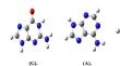 Advancing understanding of molecular interactions: computational studies on DNA nucleobases and gold nanoparticles using density functional theory