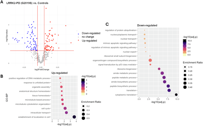 Transcriptomics and weighted protein network analyses of the LRRK2 protein interactome reveal distinct molecular signatures for sporadic and LRRK2 Parkinson’s Disease