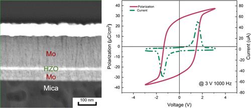 A Flexible Hf0.5Zr0.5O2 Nonvolatile Memory with High Polarization Based on Mica Substrate