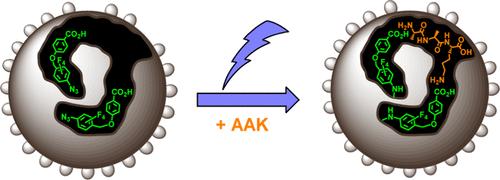 Site-Selective Functionalization of Molecularly Imprinted Nanoparticles to Recognize Lysine-Rich Peptides.