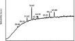 Simulation and characterization of Co3O4/carbon nanotube-filled PVC nanocomposites for medium-voltage cable applications