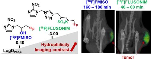 18F-Fluorination of Nitroimidazolyl-Containing Sultone: A Direct Access to a Highly Hydrophilic Radiotracer for High-Performance Positron Emission Tomography Imaging of Hypoxia