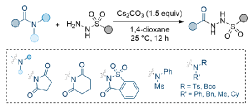 Synthesis of N-Acyl-N’-Sulfonyl Hydrazides from Sulfonyl Hydrazides and Activated Amides