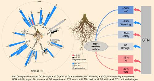 Soil nitrogen regulates root carbon secretion in the context of global change: A global meta-analysis