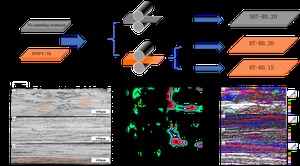 Microstructure and Magnetic Properties of Fe-4.5% Si Thin-Gauge Non-Oriented Electrical Steel