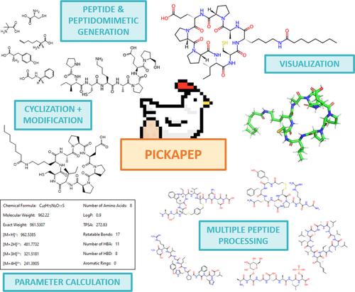 PICKAPEP: An application for parameter calculation and visualization of cyclized and modified peptidomimetics.