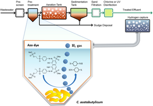 Biodegradation of azo dye Reactive Black 5 by strict anaerobe Clostridium acetobutylicum and evaluation of its effects for hydrogen production