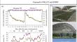 Impact of individual and combined water deficit and high temperature on maize seed set: a field study