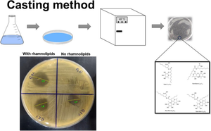 Bioadhesive Polymeric Films Containing Rhamnolipids, An Innovative Antimicrobial Topical Formulation