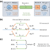 Enhanced quantum state transfer and Bell-state generation over long-range multimode interconnects via superadiabatic transitionless driving