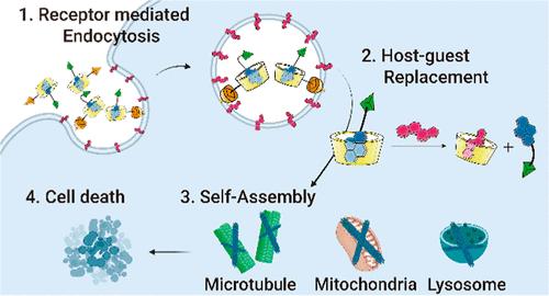 Folic Acid-Functionalized β-Cyclodextrin for Delivery of Organelle-Targeted Peptide Chemotherapeutics in Cancer.