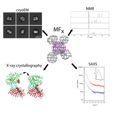 Metal fluorides—multi-functional tools for the study of phosphoryl transfer enzymes, a practical guide