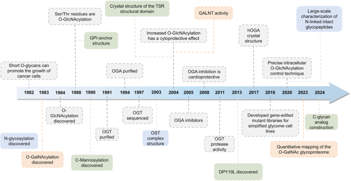 Glycosylation: mechanisms, biological functions and clinical implications.