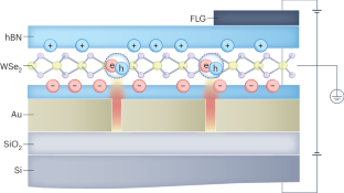 A leap to highly efficient 2D quantum emitters