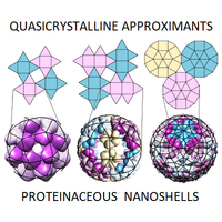 Proteinaceous Nanoshells with Quasicrystalline Local Order