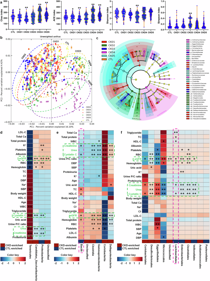 Targeting Lactobacillus johnsonii to reverse chronic kidney disease.