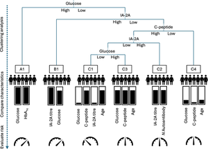 Identification of type 1 diabetes risk phenotypes using an outcome-guided clustering analysis.