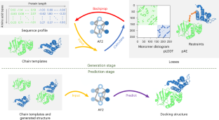 Integrated structure prediction of protein–protein docking with experimental restraints using ColabDock