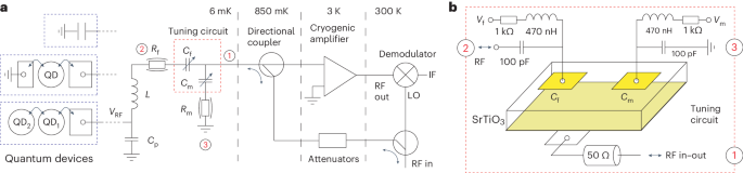 Quantum paraelectric varactors for radiofrequency measurements at millikelvin temperatures