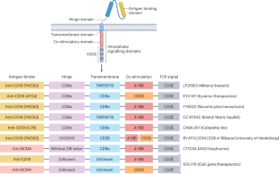 Advancements and challenges in CAR T cell therapy in autoimmune diseases