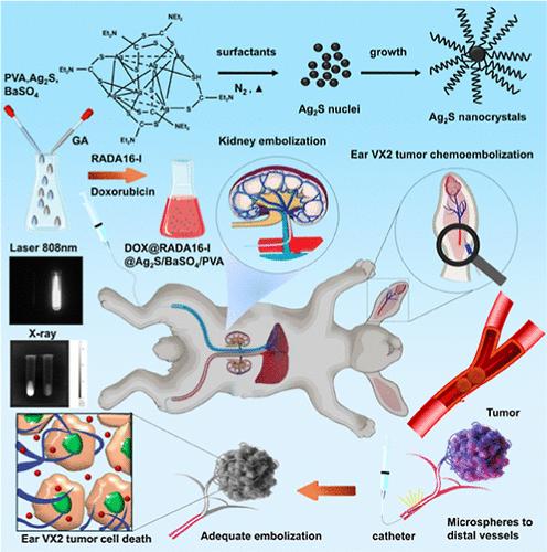 Immobilized Drugs on Dual-Mode Imaging Ag2S/BaSO4/PVA Embolic Microspheres for Precise Localization, Rapid Embolization, and Local Antitumor Therapy