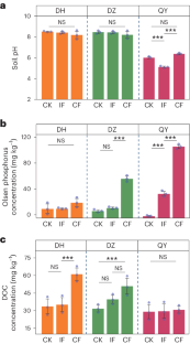 Single-cell exploration of active phosphate-solubilizing bacteria across diverse soil matrices for sustainable phosphorus management