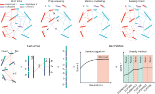 Achieving de novo scaffolding of chromosome-level haplotypes using Hi-C data