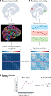 Structure-function coupling in macroscale human brain networks.